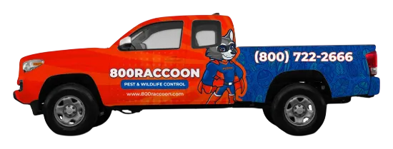 Truck Wrap 3